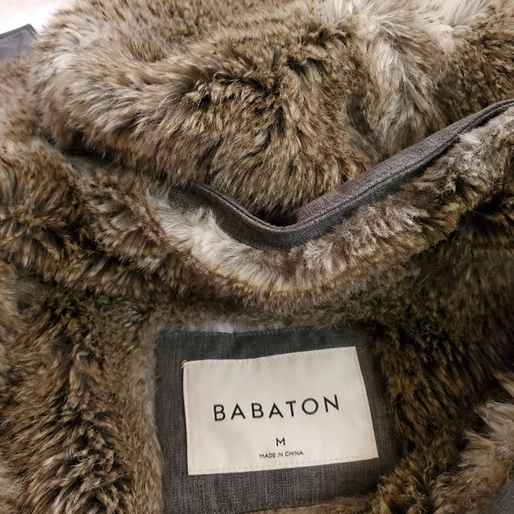 Babaton Aritzia Oskar Winter Parka - Picture 4 of 5